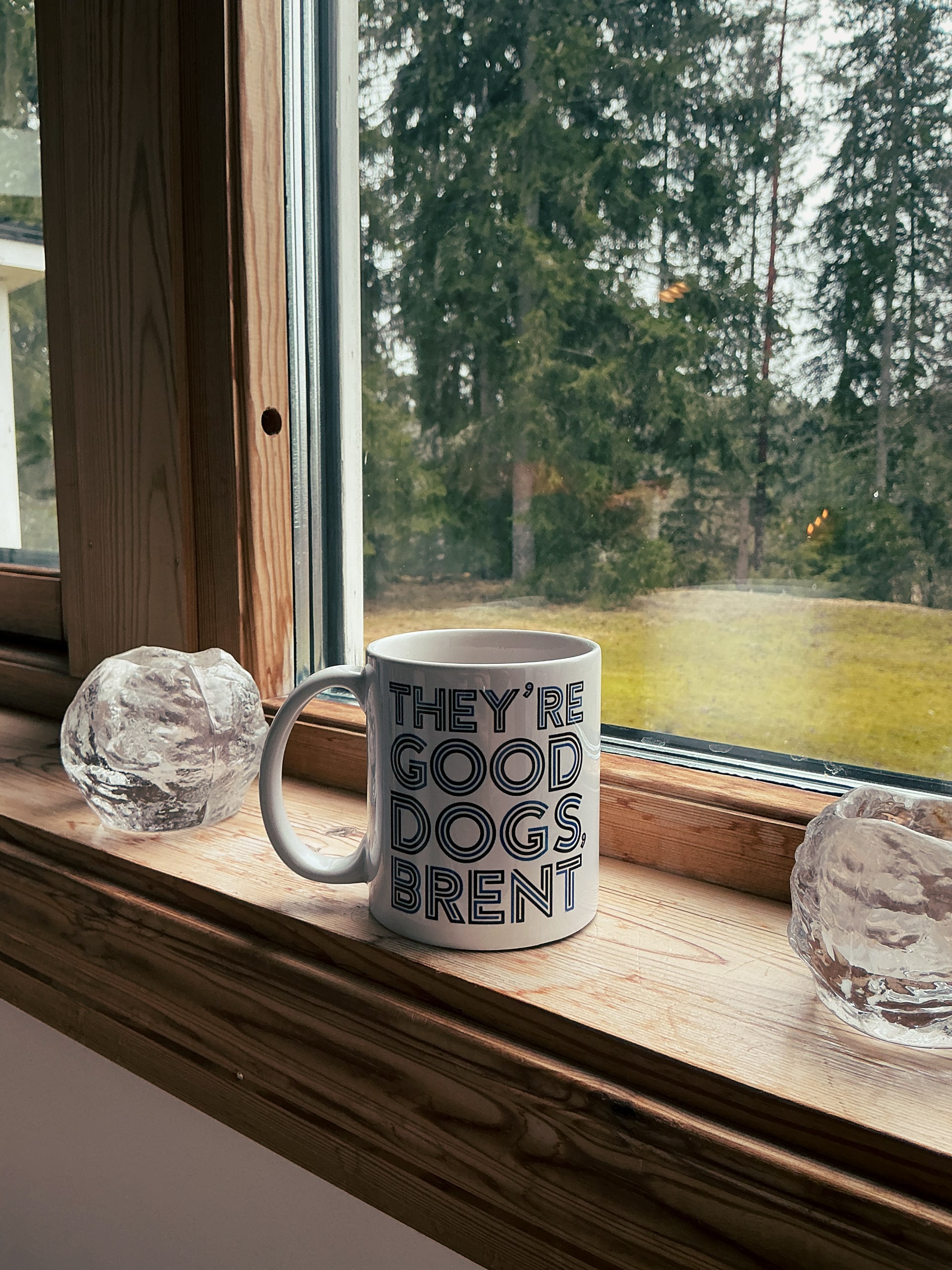 Koppen They're Good Dogs Brent i fönstret